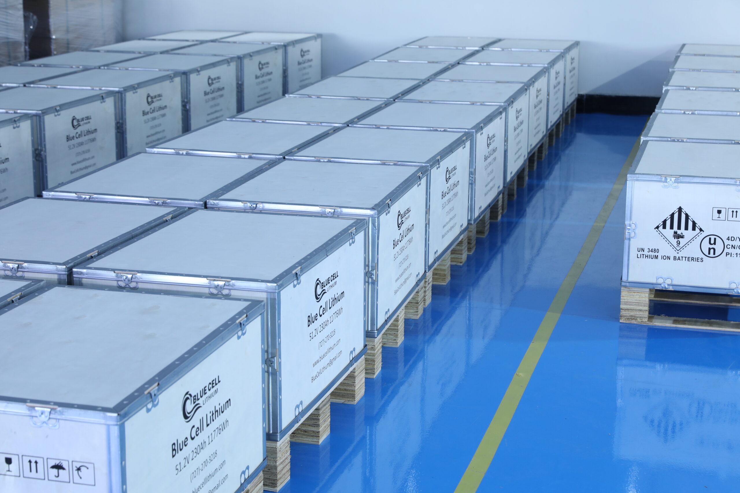 Wholesale and Fleet Pricing